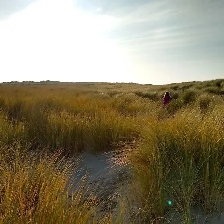 Txl 3* De Cocksdorp (Texel)