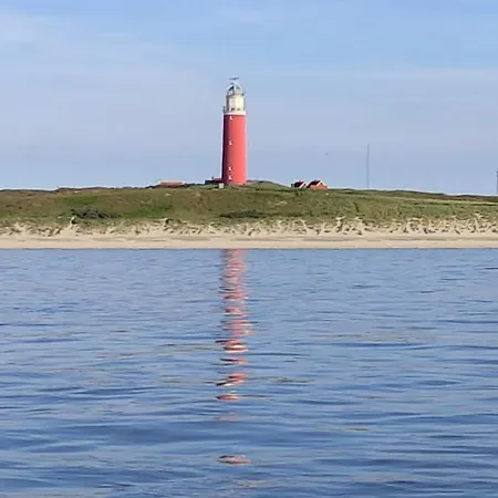 Txl