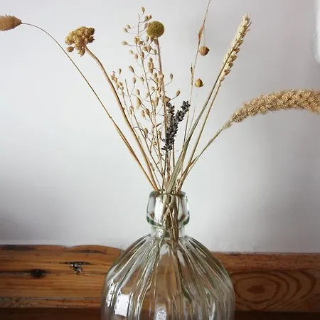 Txl 3* دي كوكْسدوربْ