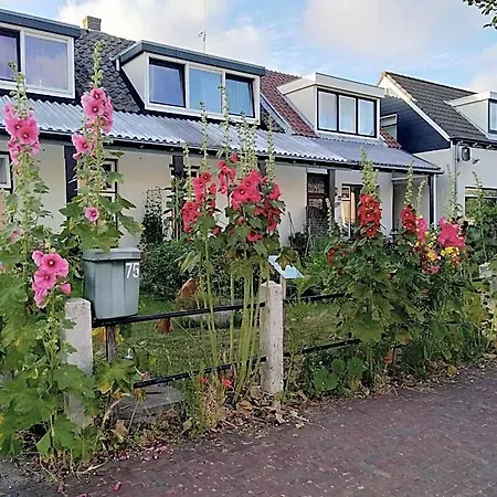 Bed and Breakfast Txl De Cocksdorp (Texel)