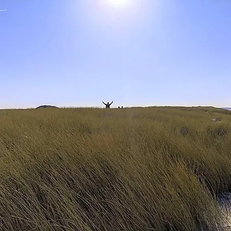 Txl 3* De Cocksdorp (Texel)