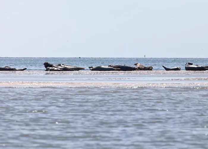 Txl B&B 더콕스도르프