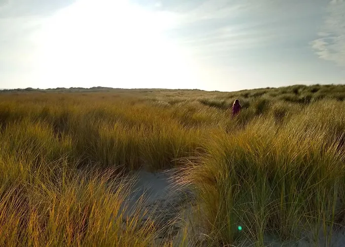 Txl 3* De Cocksdorp (Texel)