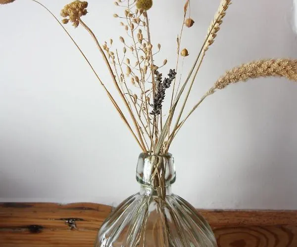 Txl 3* De Cocksdorp (Texel)