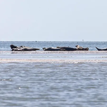 Txl Nocleg ze śniadaniem De Cocksdorp (Texel)