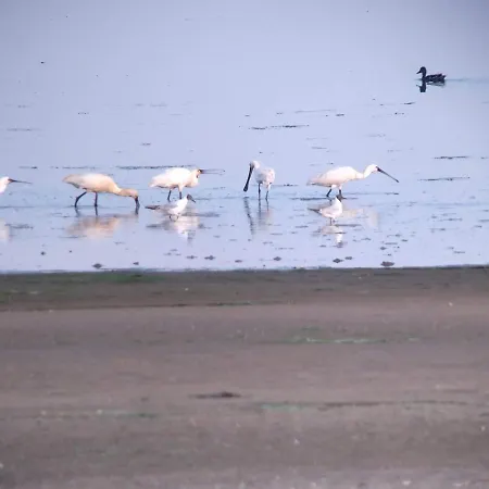 Nocleg ze śniadaniem Txl 3*