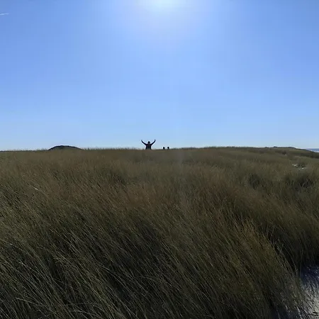 Txl Nocleg ze śniadaniem