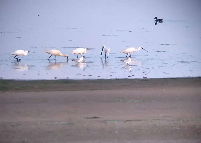 Frühstückspension Txl 3*