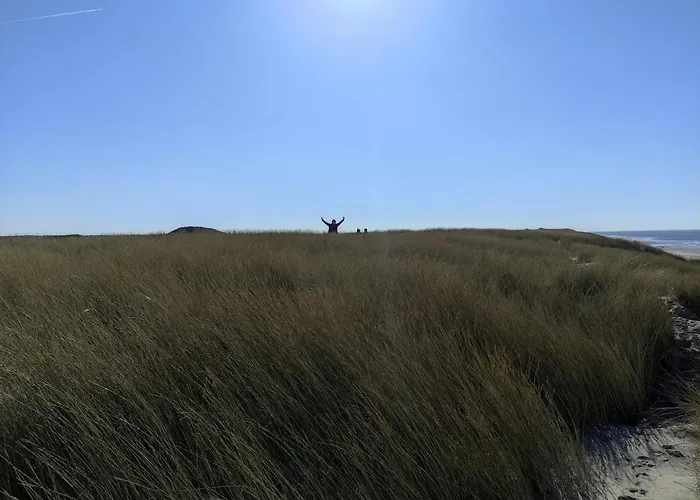 Txl Frühstückspension