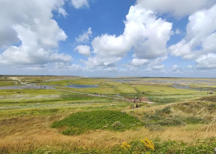 Txl Frühstückspension De Cocksdorp (Texel)